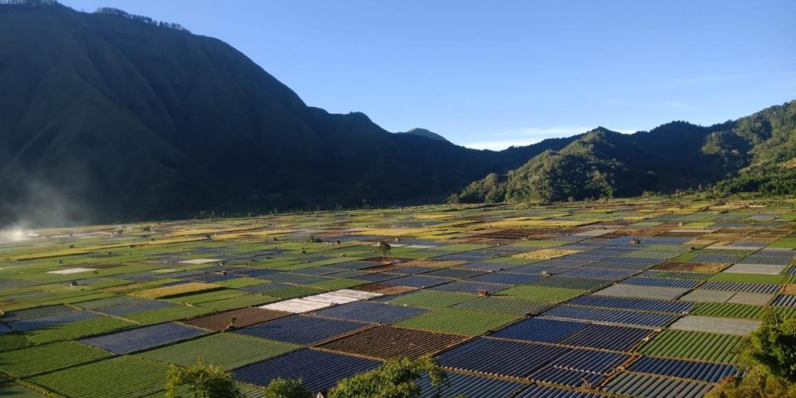 Rinjani Hill Hotel Sembalunlawang Ngoại thất bức ảnh