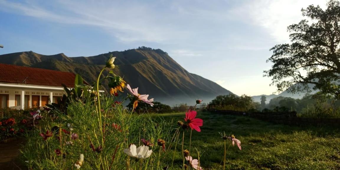 Rinjani Hill Hotel Sembalunlawang Ngoại thất bức ảnh