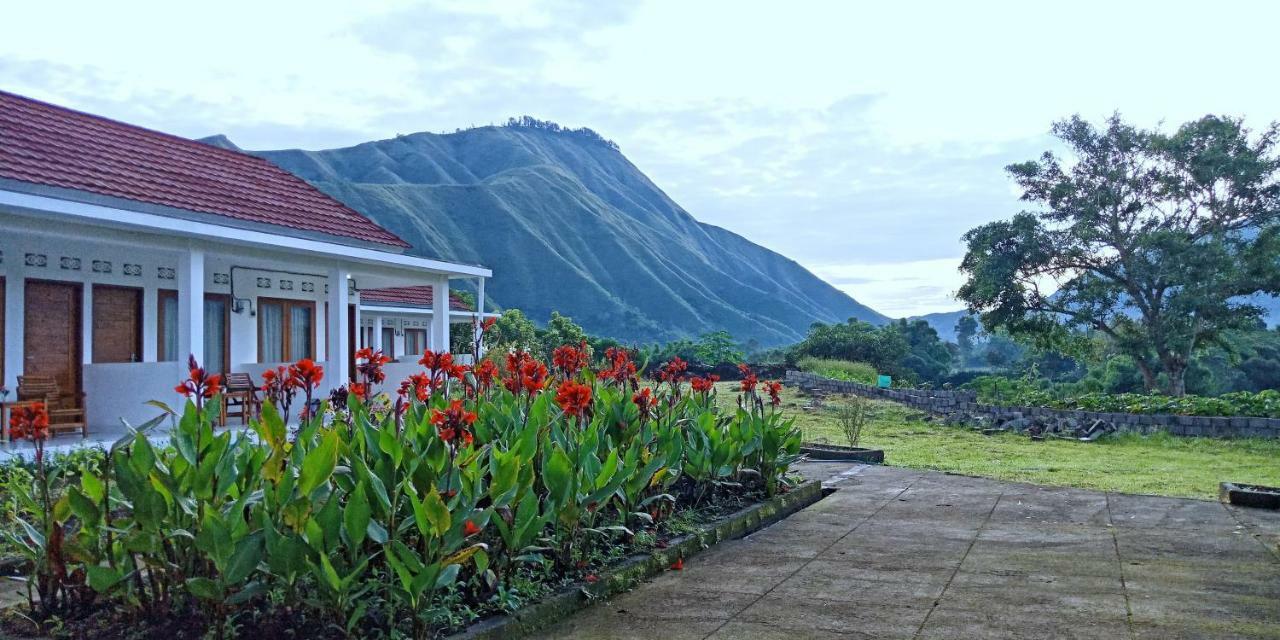 Rinjani Hill Hotel Sembalunlawang Ngoại thất bức ảnh